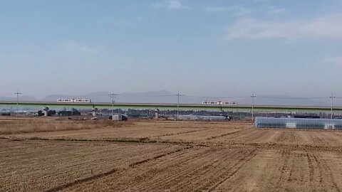 A light rail crossing the rice field road in the countryside.