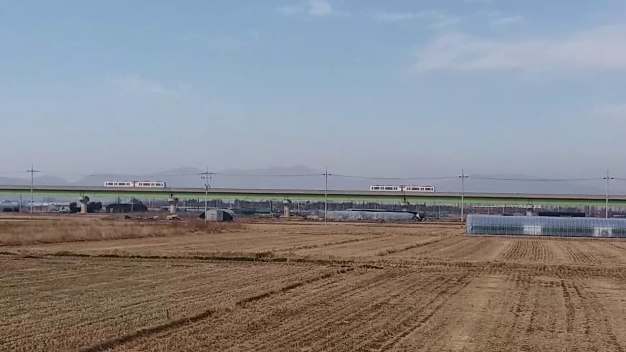 A light rail crossing the rice field road in the countryside.