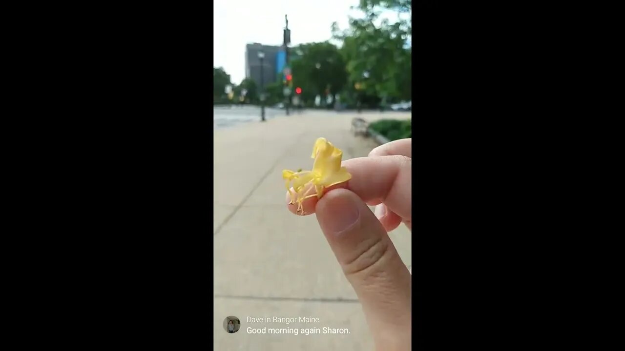 Pushing the Envelope on Memorial Day Weekend 👑