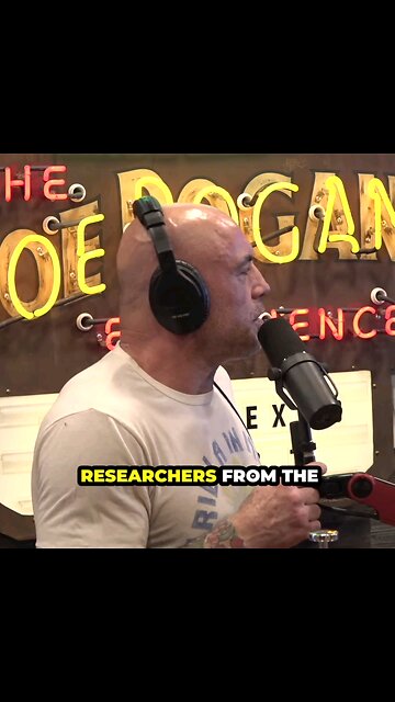 Tony Hinchcliffe on The Truth About Covid #joerogan #joeroganpodcast