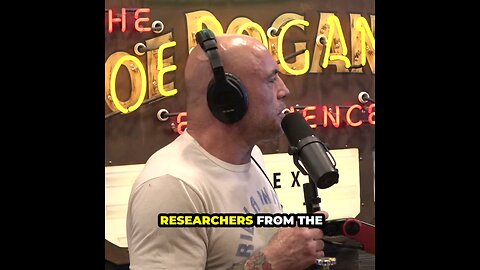 Tony Hinchcliffe on The Truth About Covid #joerogan #joeroganpodcast