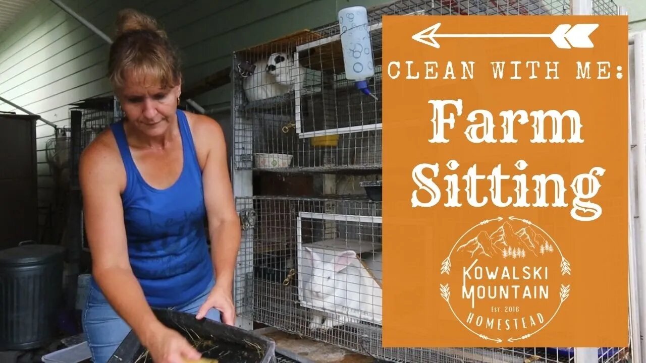 Farm Sitting | Clean with Me in the Barnyard