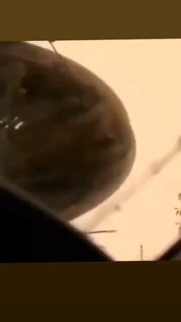 Real Or CGI Or A Mix?