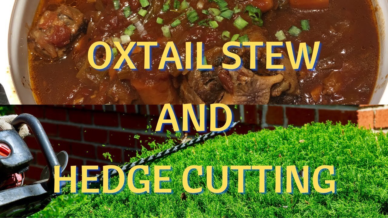 Ep 50 - Oxtail Stew and Groundwork (Hedge Cutting)