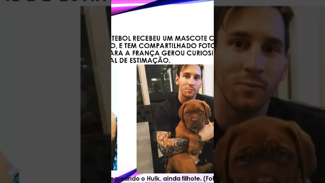 pets dos famosos 2