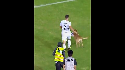 The real star of the match made a surprise appearance