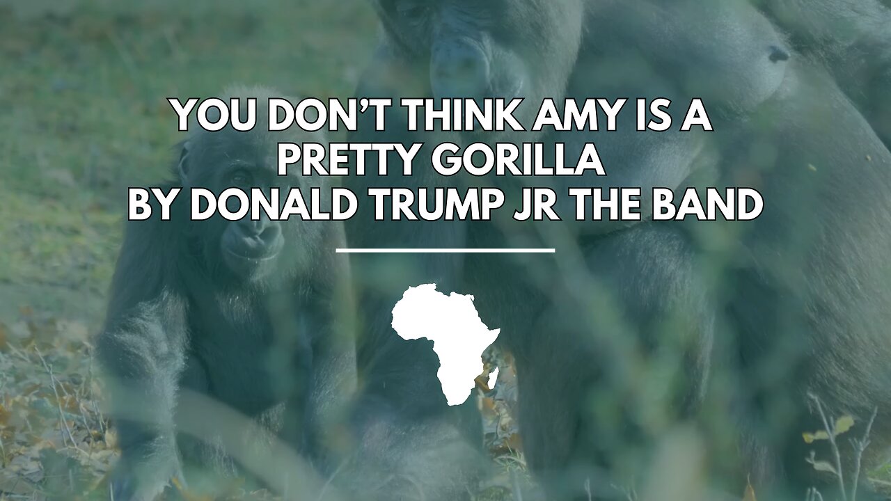 You Don't Think Amy Is A Pretty Gorilla (MAGA Ragtime Metal)