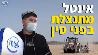 אינטל מתנצל בפני סין