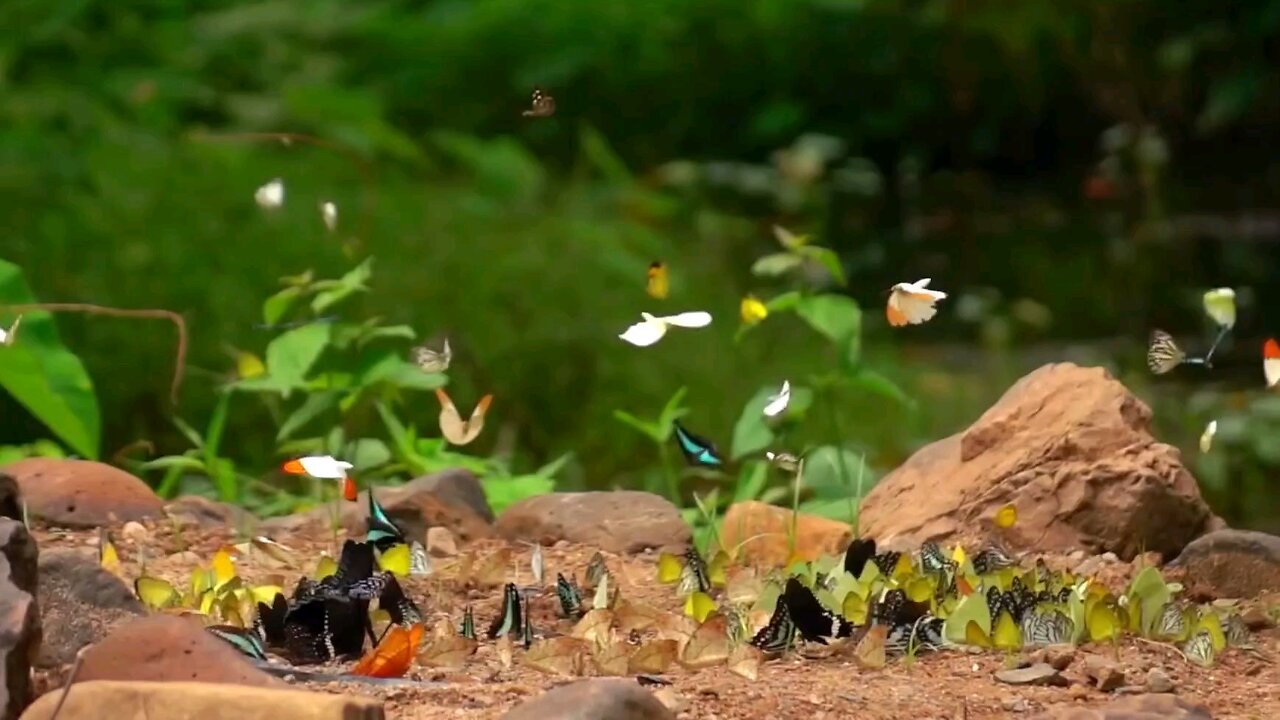 Nature is so beautiful