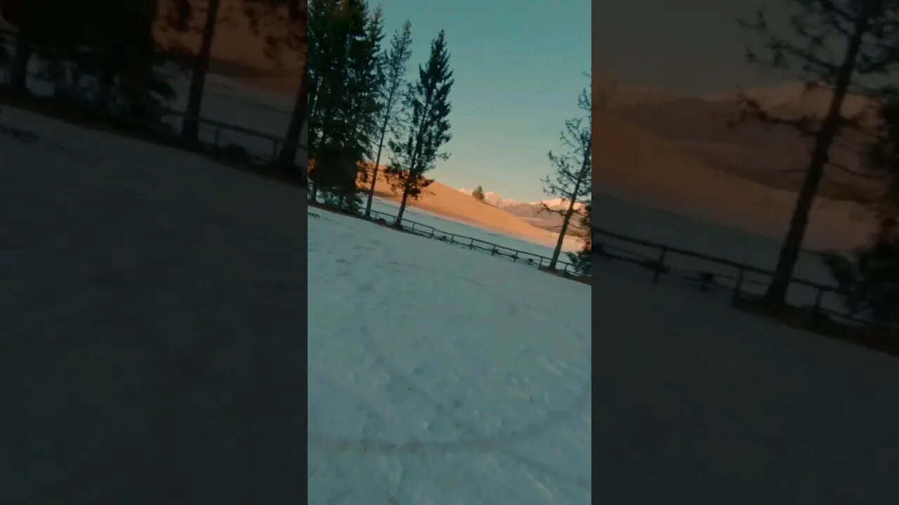 First light through snow road