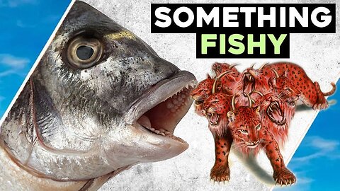Something Fishy | Easter Sunday