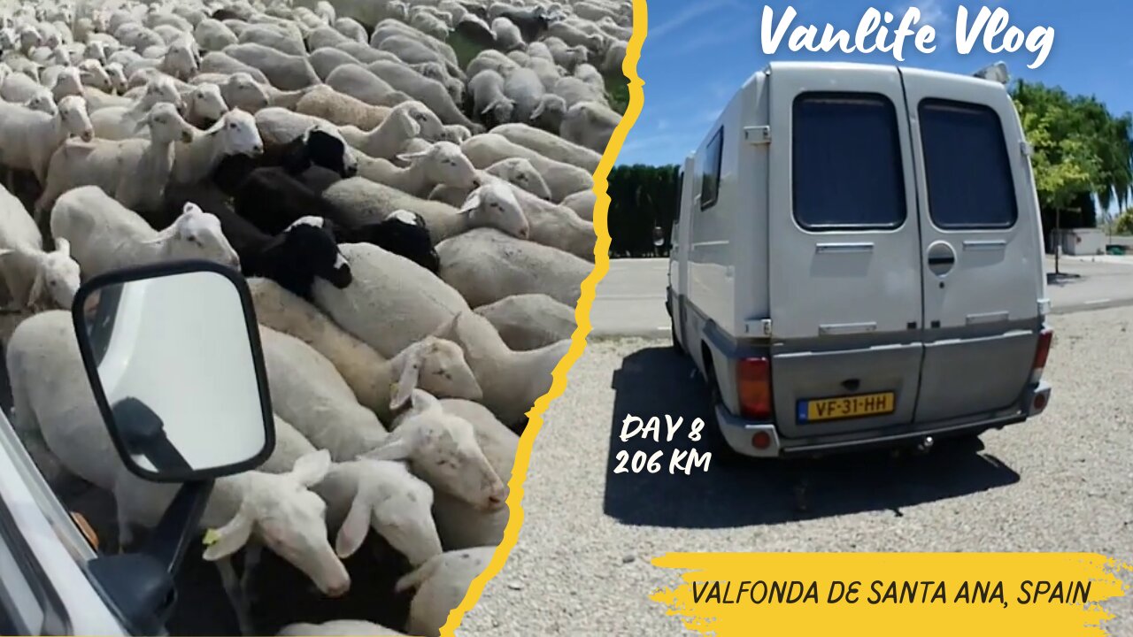 Vanlife Spain: Sheep Galore, Quest for Electric & Bin Bag Snatcher | Roam The Dome Episode 13