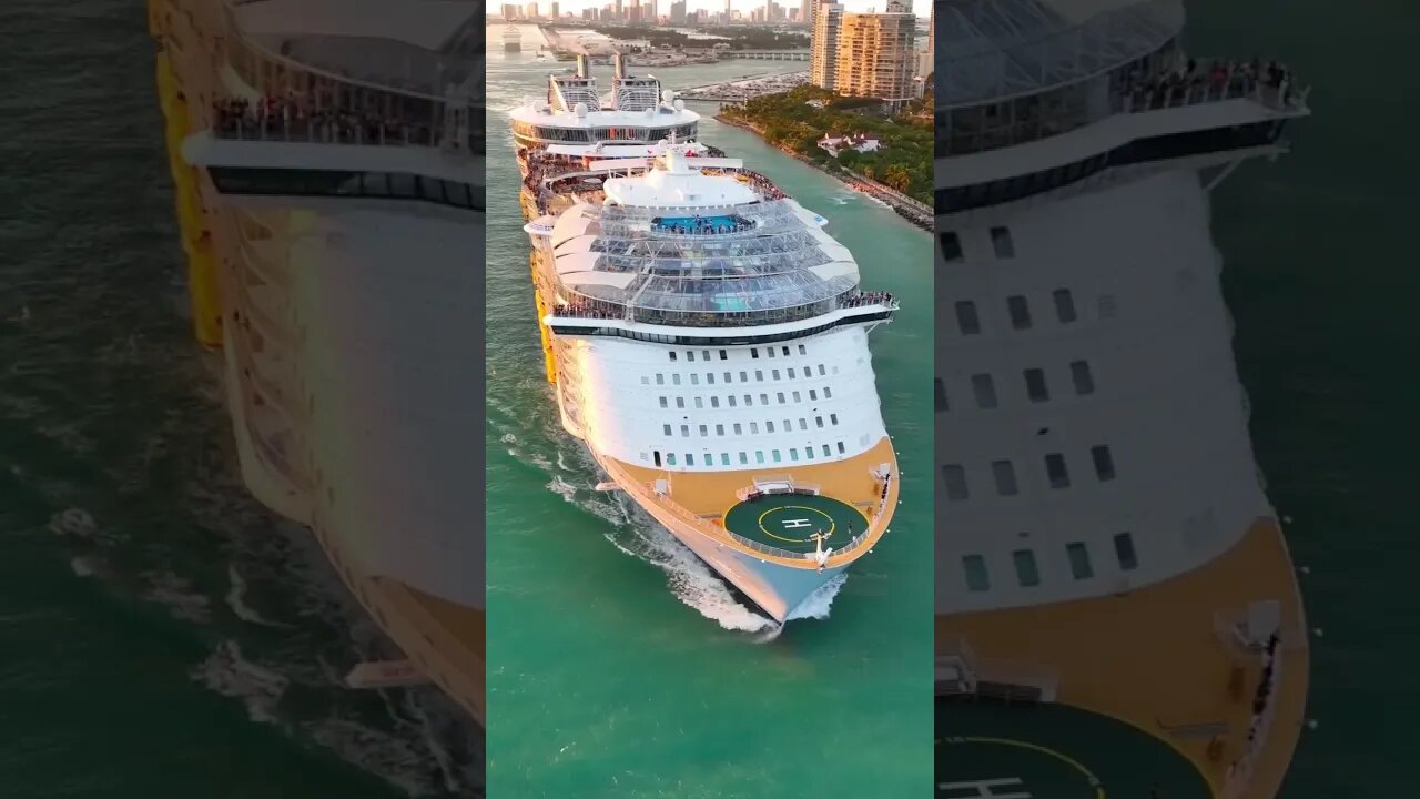 Let’s get down to business… and book a cruise! 🚢 #shortsfeed #cruise #symphonyoftheseas