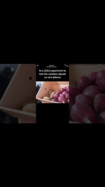 Potatoes can reflect your wi fi signal