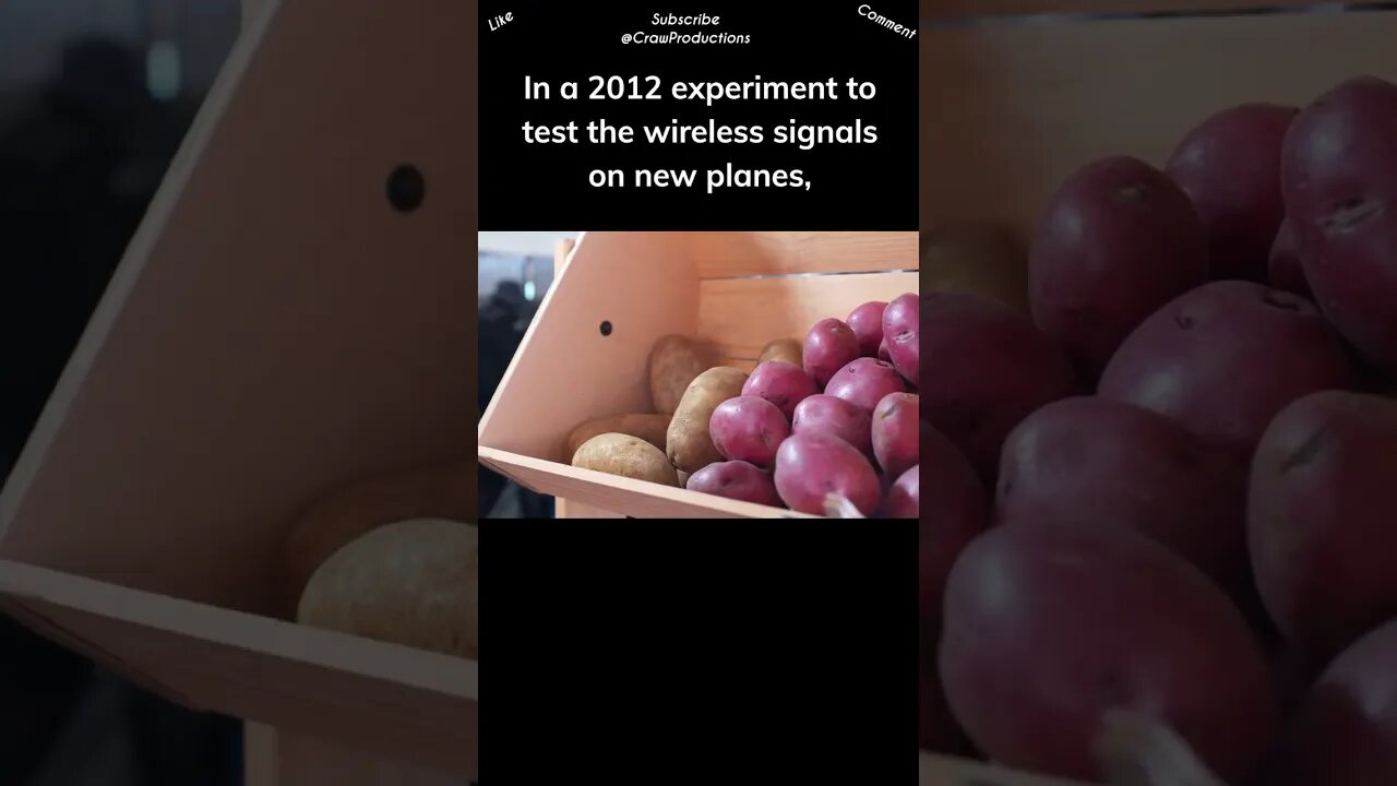 Potatoes can reflect your wi fi signal