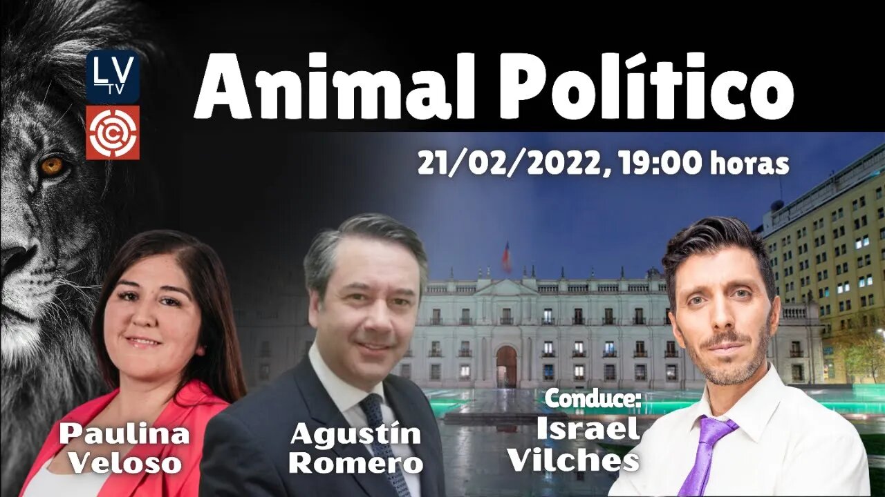 Animal Político, con el periodista Israel Vilches