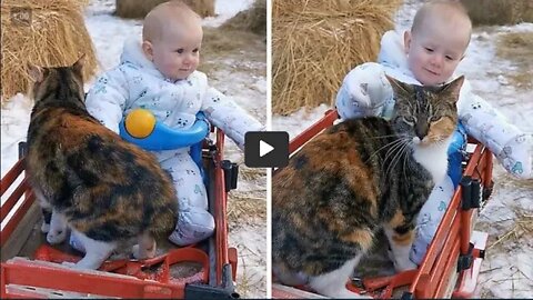 Baby And Cat Share Adorable Friendship Together