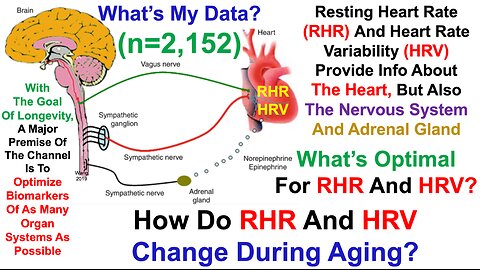 41% Increase For HRV Since 2018