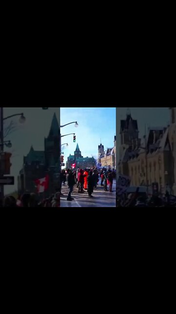 First Wave of Truck Convoy Reaches Ottawa!