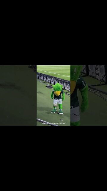 Mascote do Palmeiras fazendo embaixadas no Allianz