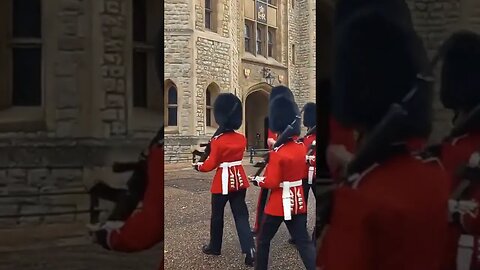 Tourist gets in the way of the King's Guards Make way #toweroflondon