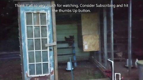 Roosting problem solved, Prepping for SHTF 2022