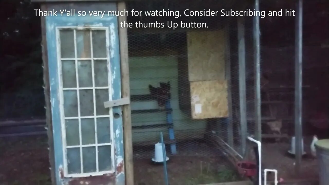 Roosting problem solved, Prepping for SHTF 2022