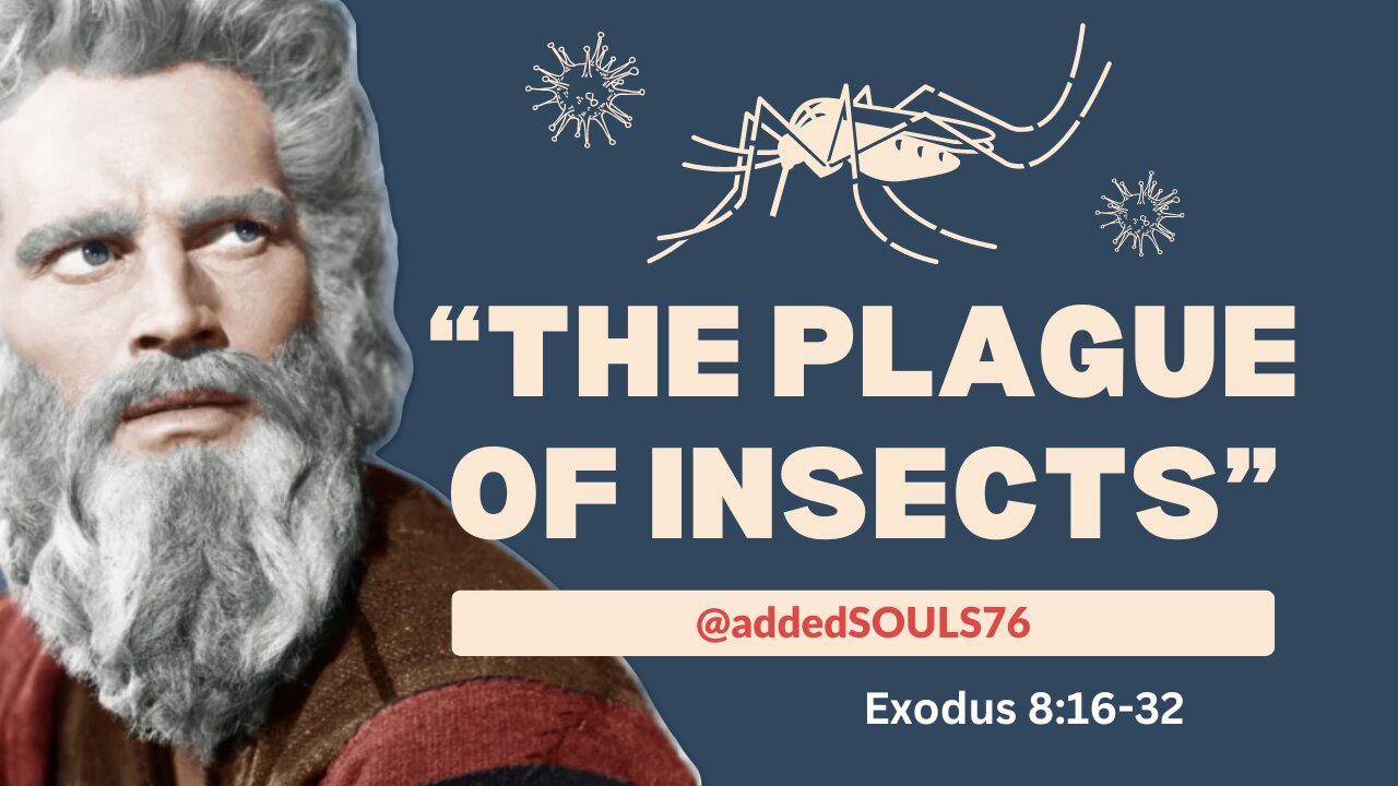 "The Plague of Insects"