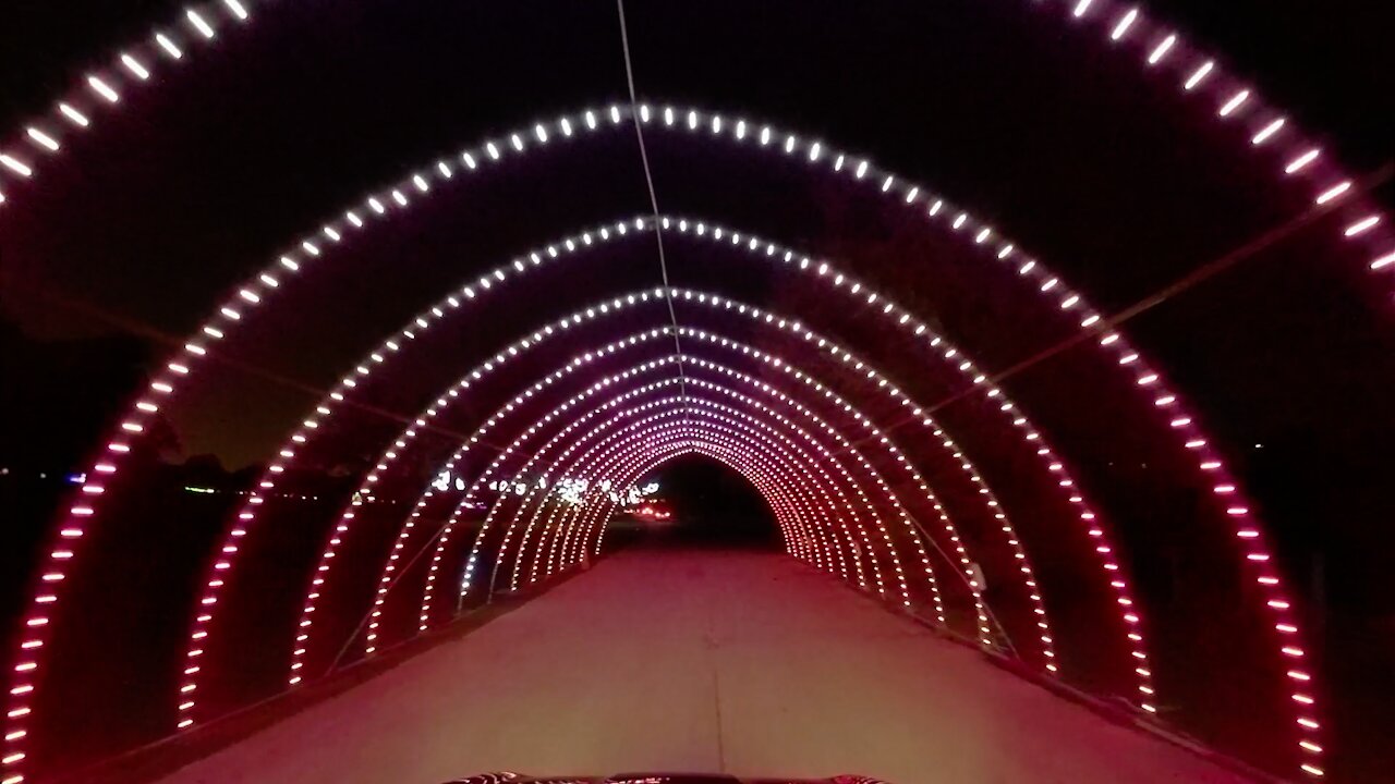 Celebration In the Oaks Drive-Thru 2020 | City Park in New Orleans, LA