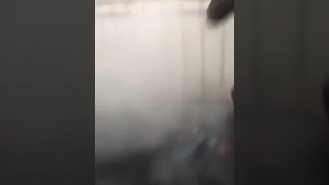 Blacks Attacked Disabled ♿White Elderly Women👩‍🦽And Spray Her With A Fire Extinguisher🧯👀🤬🙏
