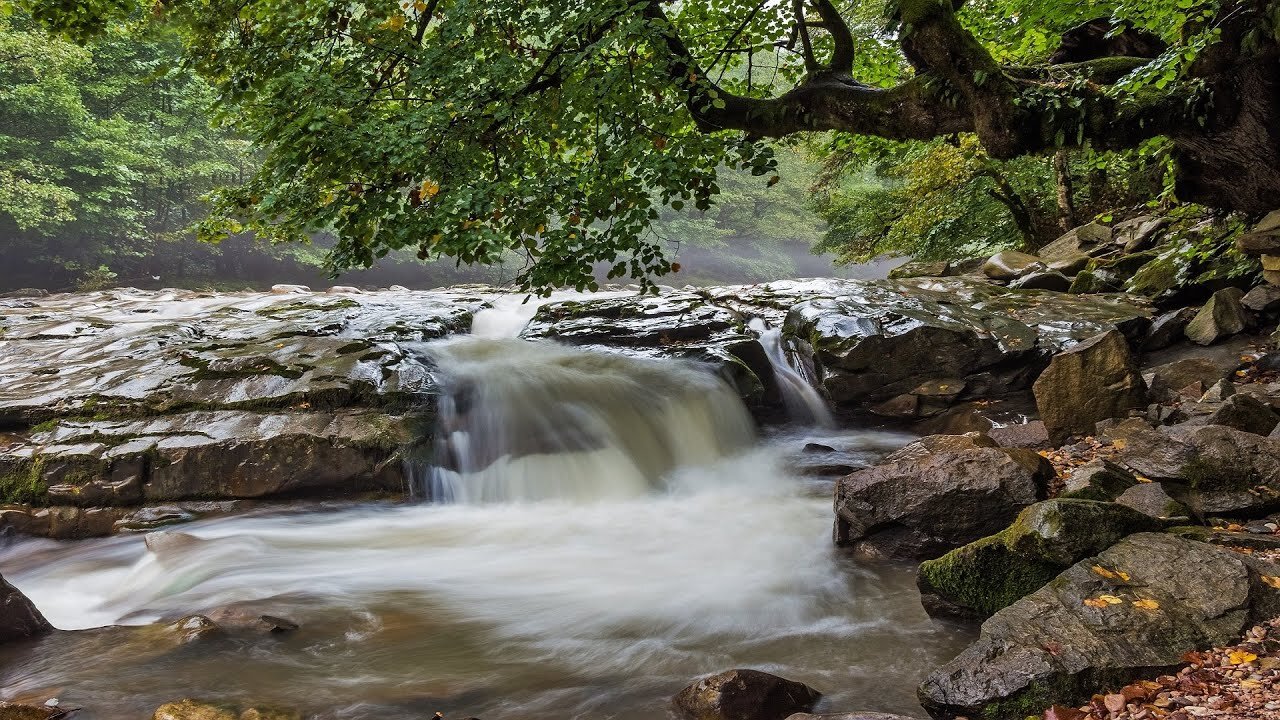 🔴10 Hours of Powerful Water Flow Sounds🔴 Rejuvenate and Restore your body while you sleep