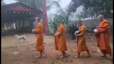 Canadian Monk living in Burma