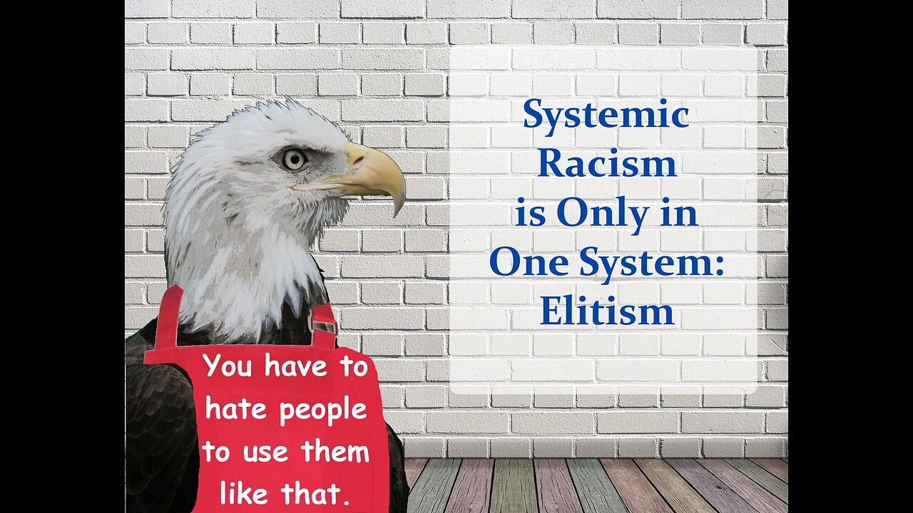 Systemic Racism is Only in One System: Elitism