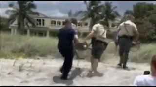 VIDEO: Wildlife officers capture gator on Hobe Sound beach
