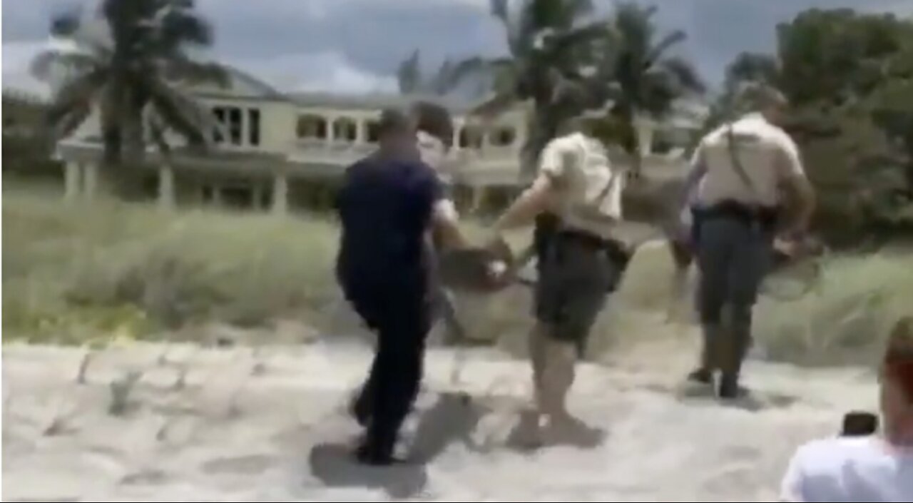 VIDEO: Wildlife officers capture gator on Hobe Sound beach