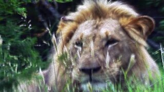 SOUTH AFRICA - COVID-19: Lockdown Day 4 in pictures (Video) (oRW)