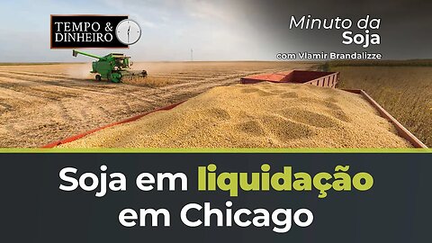 Soja em liquidação em Chicago