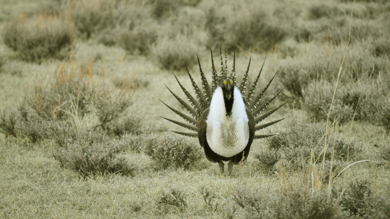 Department Of Interior Plans To Cut More Environmental Protections