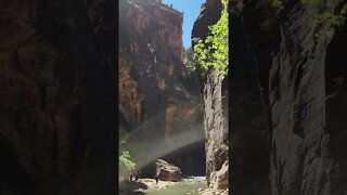 The Narrows, Zion National Park