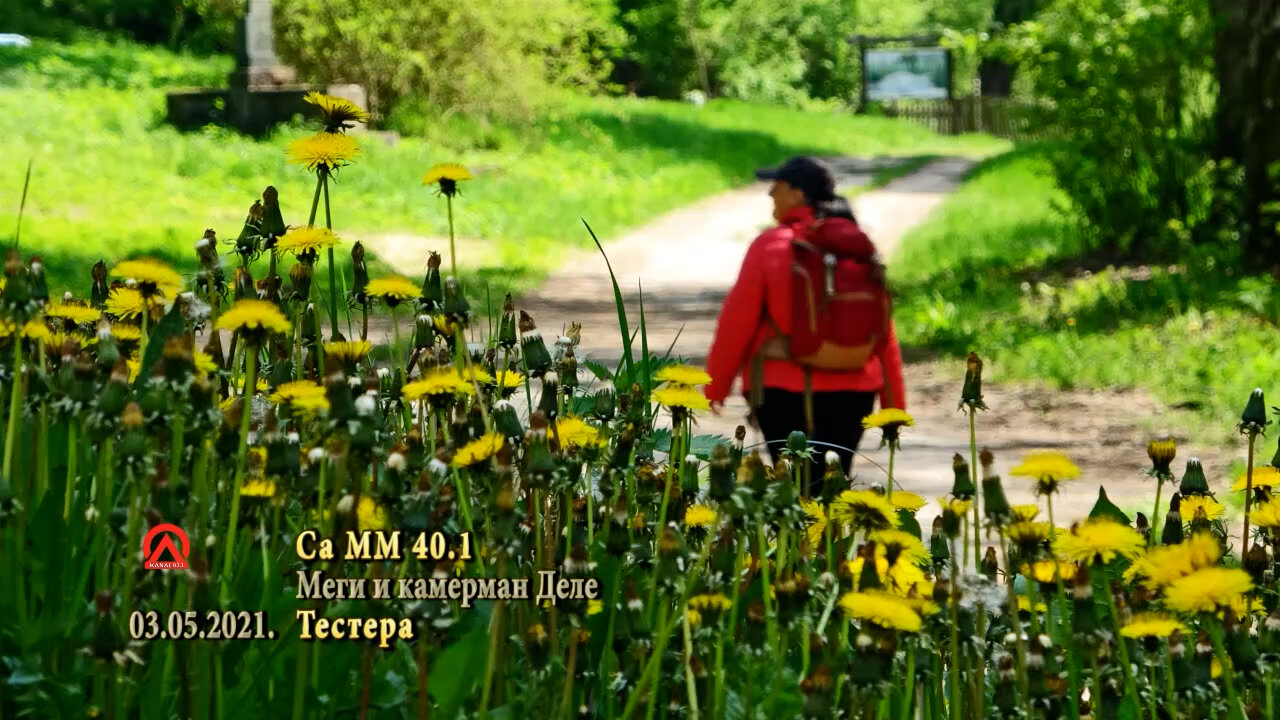 20210503 SaMM40.1 Testera