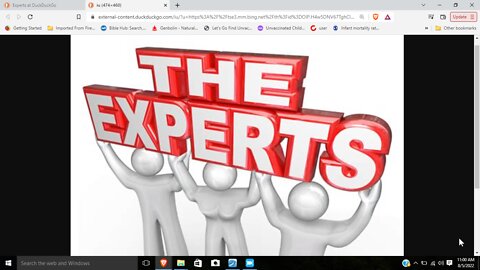 The experts