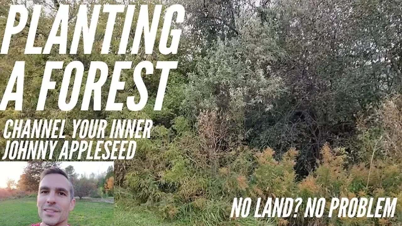 No land? No problem. Lets (not) plant a forest.