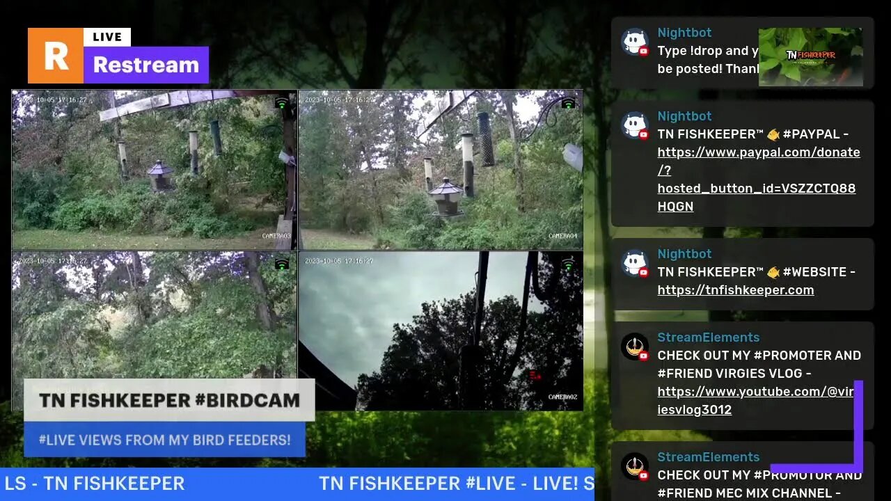 TN FISHKEEPER #BIRDCAM