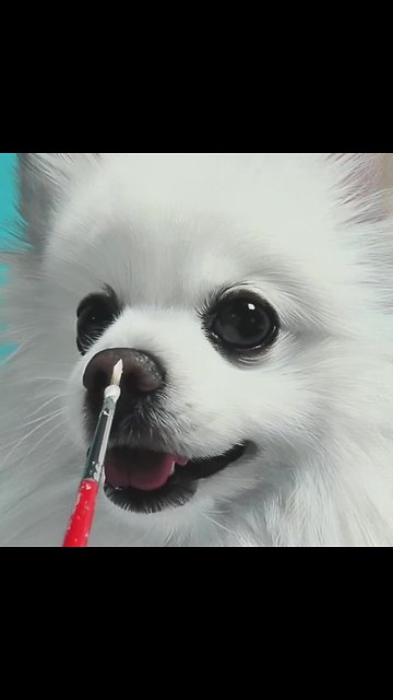 Artist creates incredibly realistic Pomeranian portrait