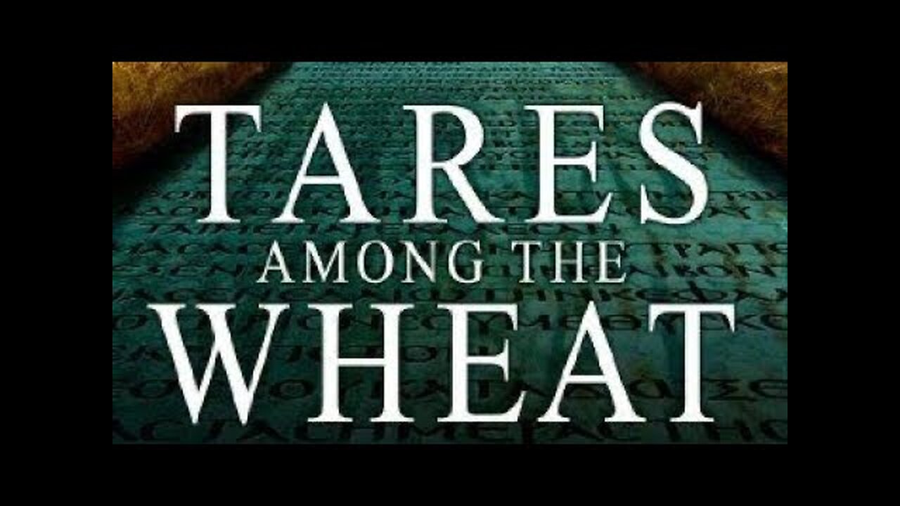 The Untold Story of The Bible: Part 2. Tares Among The Wheat🙏