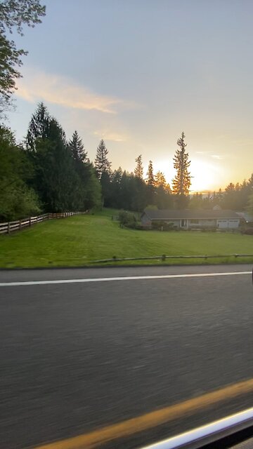 Washington state yards