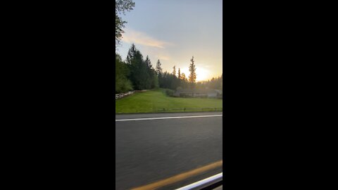 Washington state yards