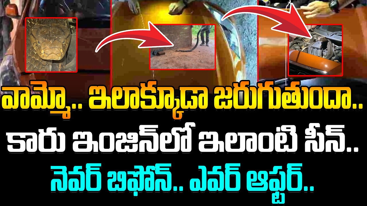 Huge Cobra Hidden In car Bonnet | కారు ఇంజిన్‌లో ఇలాంటి సీన్.. నెవర్ బిఫోన్.. ఎవర్ ఆఫ్టర్.. #viral