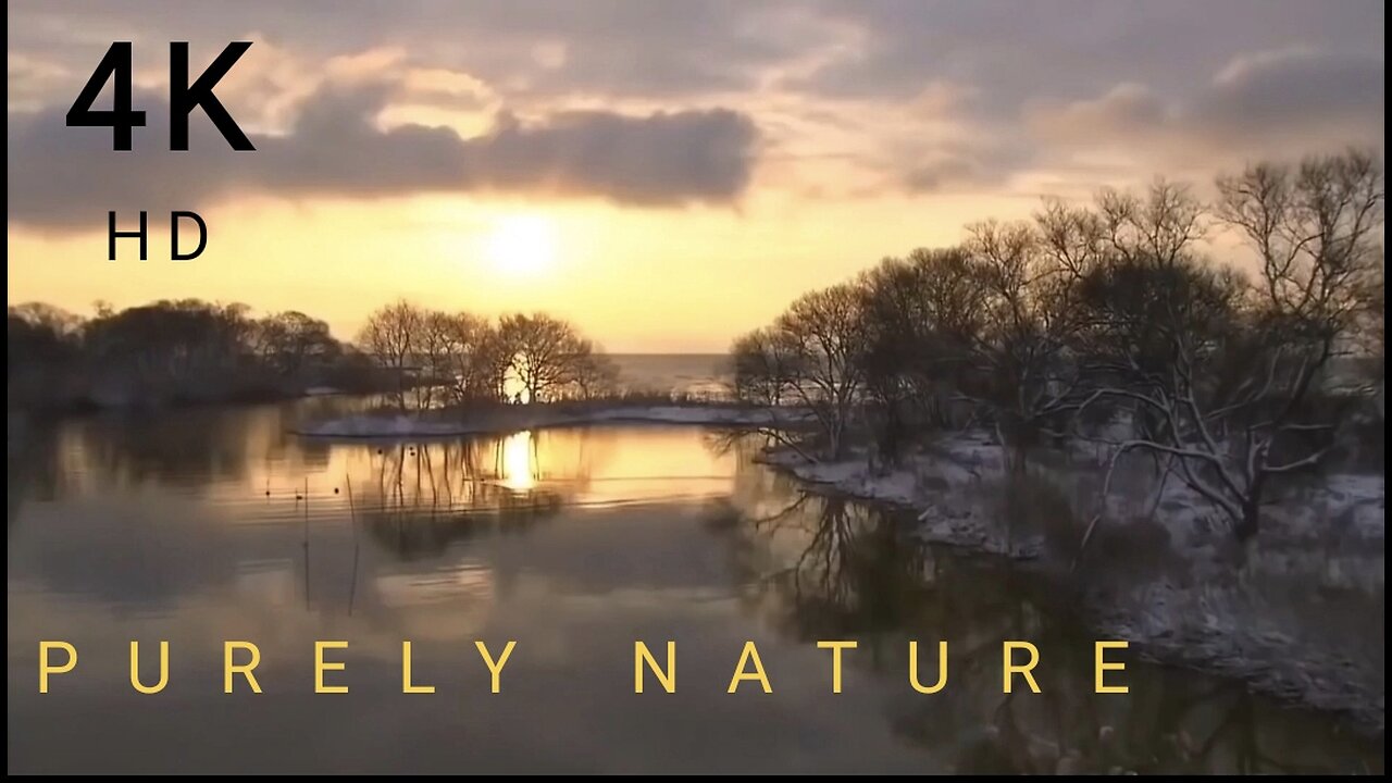 Into the heart of Nature- A visual Journey #nature #rumble #wildlife #soothing #viral #japan