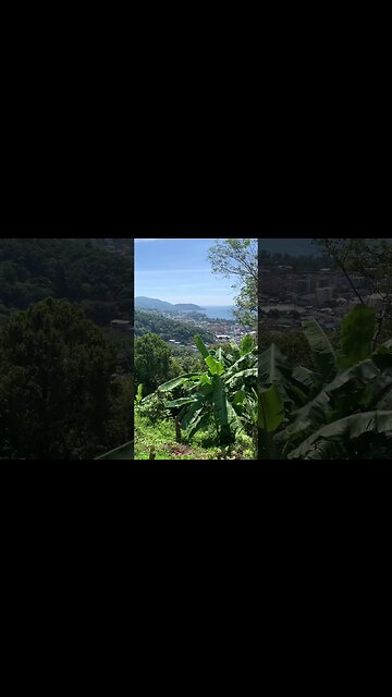 Nature at its best. 😎😍 #nature #thailand #phukey